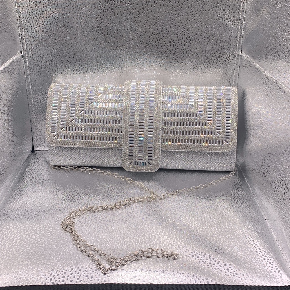 Silver Clutch purse